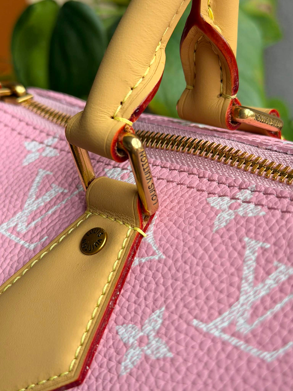 Candy Pink Louisa 30