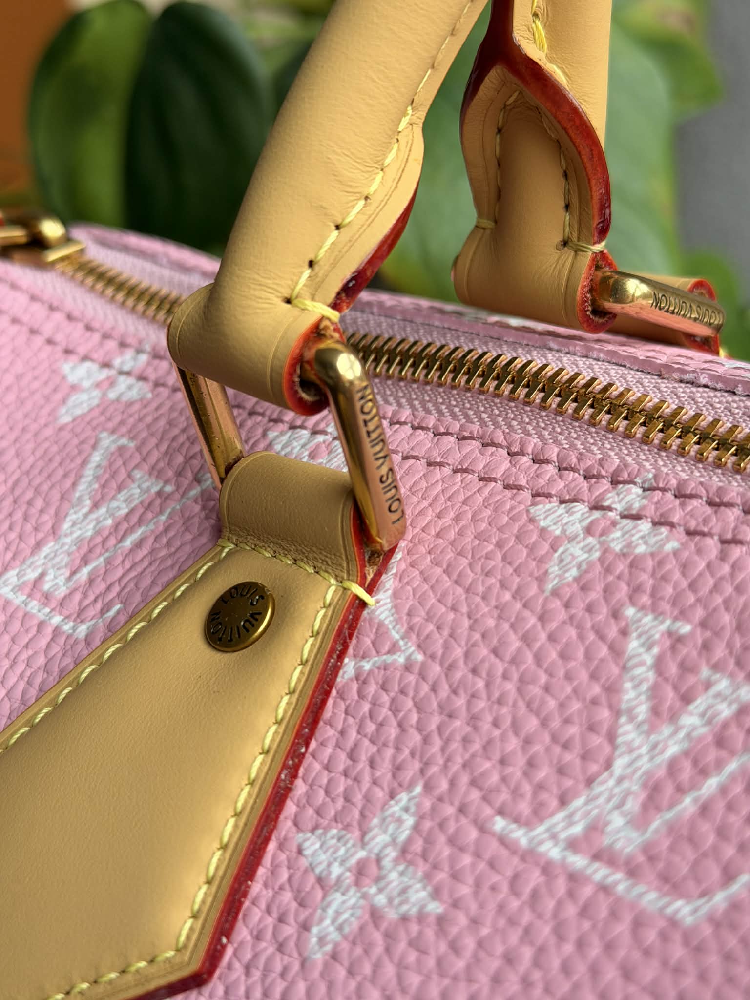 Candy Pink Louisa 30