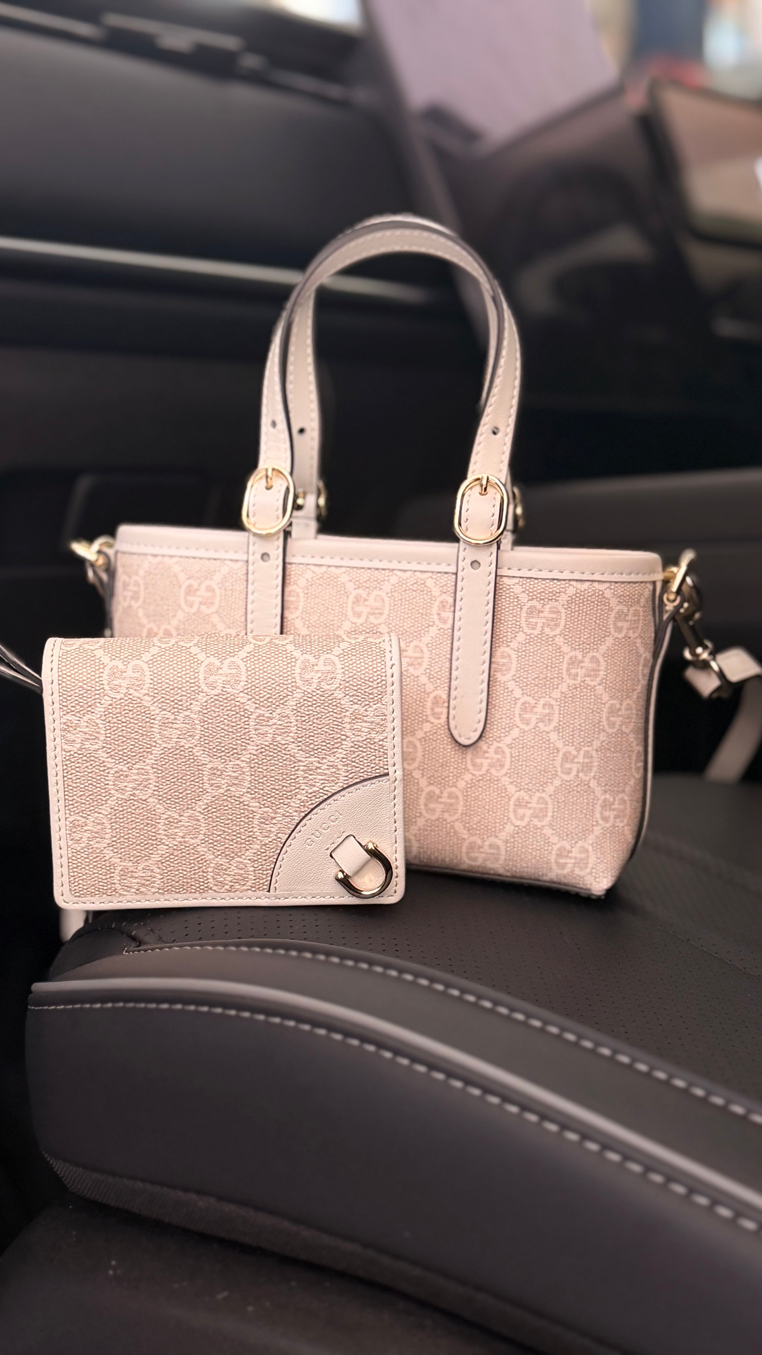Mini Bag - White Emblem with Matching Purse